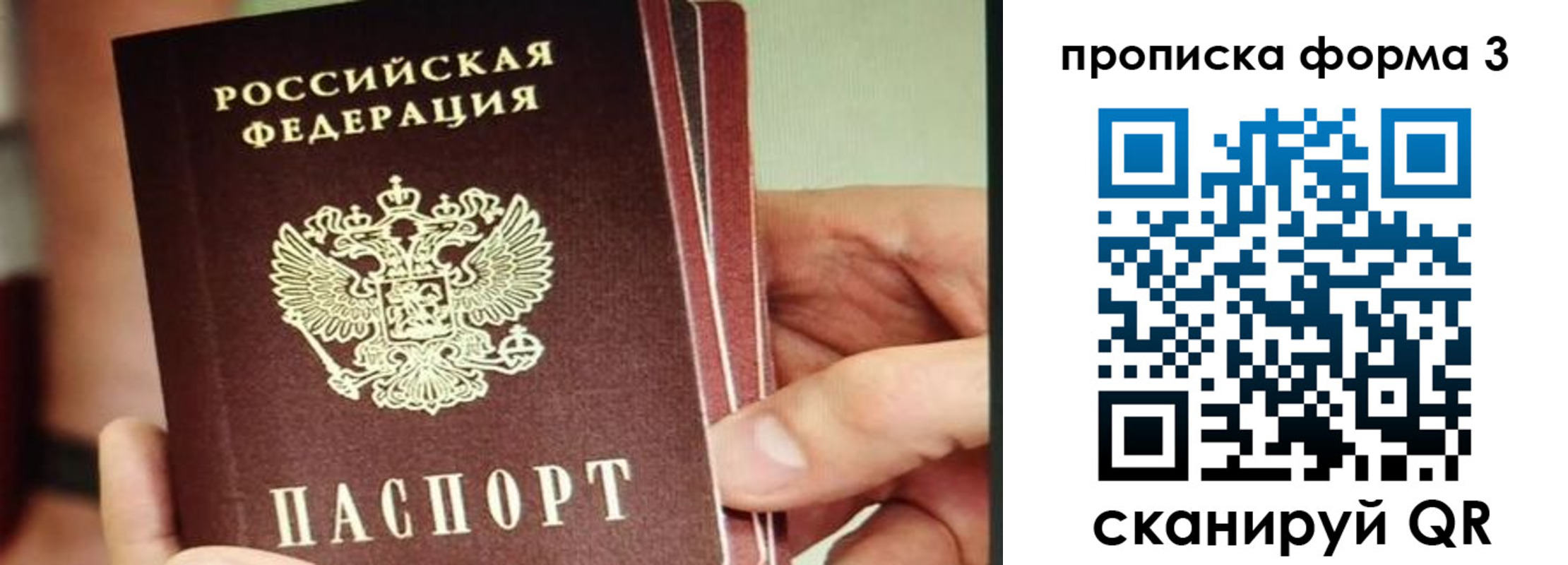 прописка законно в Абинске
